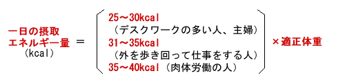1日の摂取エネルギー量